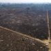Vista aérea de un área consumida por un incendio cerca de Novo Progresso, en el estado de Pará, Brasil, el martes 18 de agosto de 2020. Foto: Andre Penner/AP.