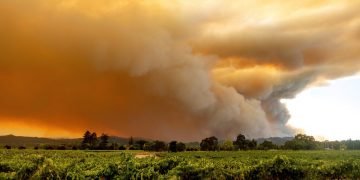 Humo cubre Healdsburg, California, al incendiarse el LNU Lightning Complex el jueves 20 de agosto de 2020. Foto: AP/Noah Berger.