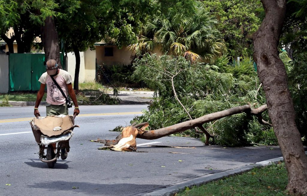 Un hombre pasa junto a un árbol caído tras la tormenta tropical Laura en La Habana, el martes 25 de agosto de 2020. Foto: Ernesto Mastrascusa / EFE.