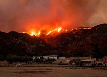 El fuego en  Banning, California. Foto: Josh Edelson/AFP.