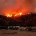 El fuego en  Banning, California. Foto: Josh Edelson/AFP.