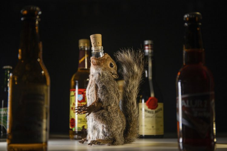 La muestra, que se inauguró este 5 de septiembre, presenta bebidas alcohólicas que podrían sonar asquerosas pero se beben en alguna parte del mundo. Foto: Andreas Ahrens / Disgusting Food Museum, vía AP.