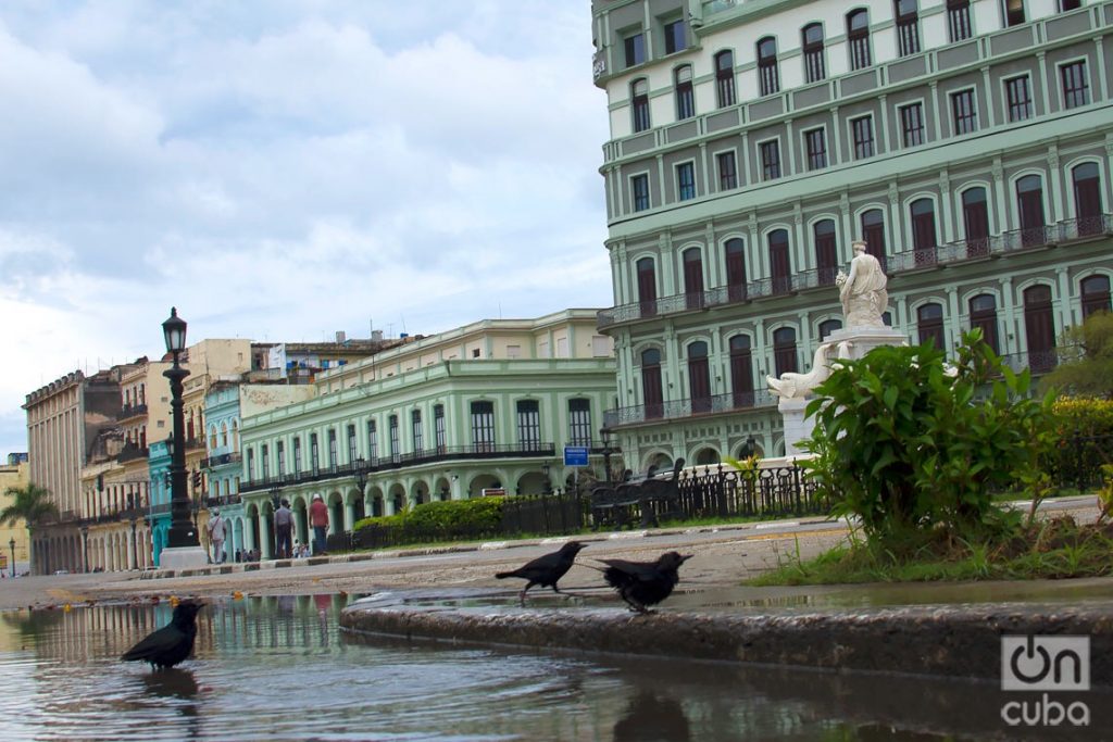 Paisaje de La Habana Vieja. Foto: Otmaro Rodríguez.