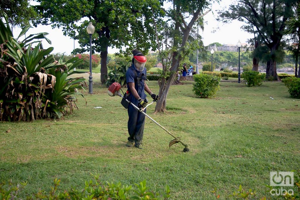 Un trabajador de servicios comunales corta el césped en un parque de La Habana, durante la desescalada post COVID-19. Foto: Otmaro Rodríguez.