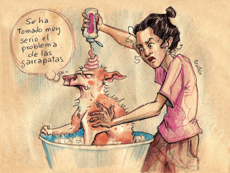 Ilustración: Claudia Margarita Guillén Miranda.
