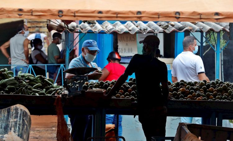 Los diez contagios identificados en territorio avileño corresponden al municipio cabecera, mientras que La Habana, con ocho casos, tuvo reportes positivos desde cinco municipios: Cotorro, Habana del Este, Cerro, Centro Habana y San Miguel del Padrón. Foto: Ernesto Mastrascusa/EFE.