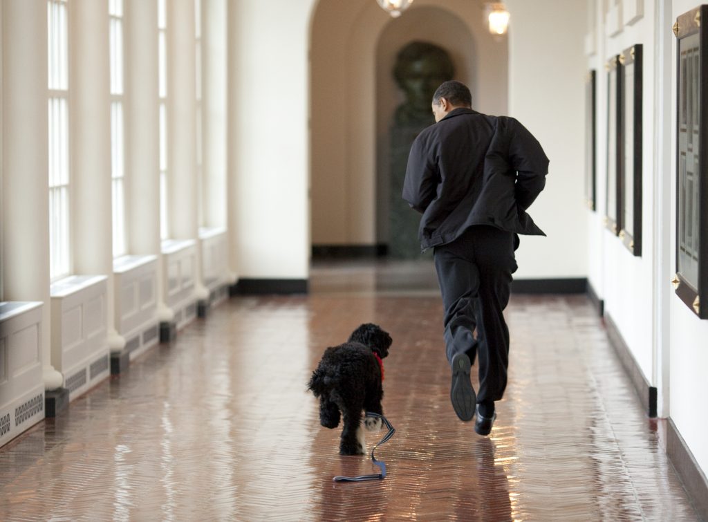 Obama corre junto a su perro Bo en el pasillo lateral a la Oficina Oval, en la Casa Blanca, durante sus años como presidente de los Estados Unidos. Foto: Pete Souza / White House / Archivo.