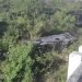 Un ómnibus de transportación especial perdió el control en la Autopista Nacional y al menos diez personas fallecieron en el accidente. Foto: Tomada de Canal Habana.