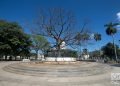 La ceiba del Parque de la Fraternidad, en La Habana. Foto: Otmaro Rodríguez.
