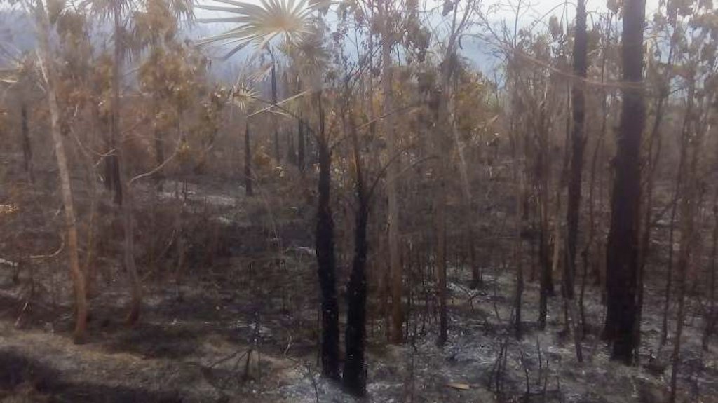 Áreas devastadas por las llamas. Foto: Gobierno Municipal de Manuel Tames/Granma.