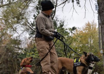 La investigadora privada Karin TarQwyn ha montado un equipo de perros rastreadores para localizar mascotas robadas. Foto: tomada de Time.