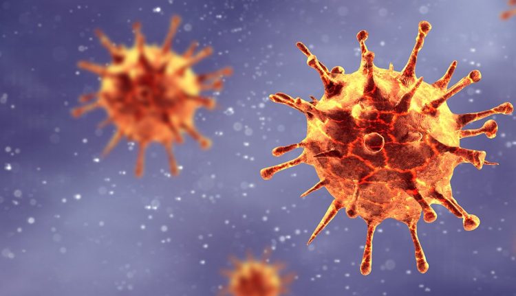 El coronavirus SARS-CoV-2. Foto: Panorama Images / Getty Images vía aarp.org