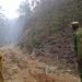 Un incendio de grandes proporciones afectó al Parque Nacional "Alejandro de Humboldt", declarado en 2001 Patrimonio de la Humanidad. Foto: ACN.