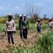 Campesinos caminan tras terminar sus labores en un cultivo de caña de azúcar, el 29 de abril de 2021 en Madruga, Mayabeque (Cuba). Foto: Ernesto Mastrascusa/Efe.