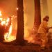 Un bombero comatiendo el incendio Dixie, cerca de Taylorsville, California, 10 de agosto de 2021. Foto: REUTERS.