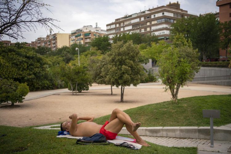 Un hombre en un parque durante la ola de calor en Madrid hoy sábado 14 de agosto de 2021. Foto: Andrea Comas/AP.