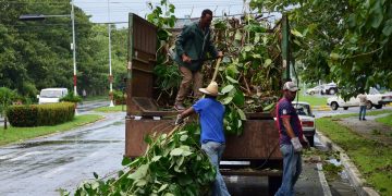 Trabajos de recuperación en Pinar del Río tras el paso del huracán Ida. Foto: @guerrillero_cu / Twitter.