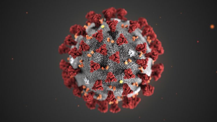 El nuevo coronavirus. Foto: AP.