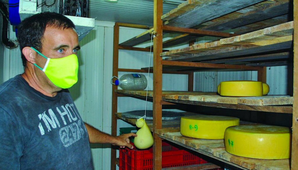 El campesino cubano Raúl Abreu, conocido como "El Rey del Queso", en su fábrica artesanal en la provincia de Artemisa. Foto: artemisadiario.cu