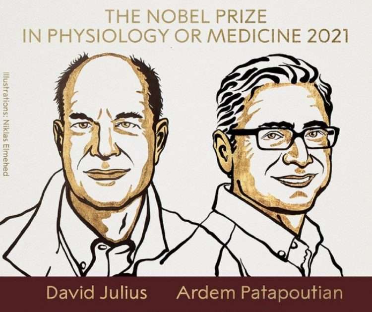 Imagen: twitter.com/NobelPrize