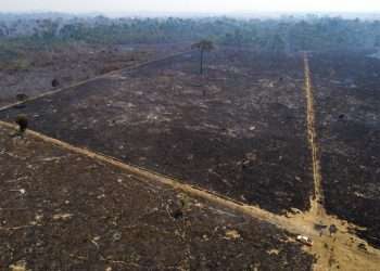 Zona consumida por el fuego cerca de Novo Progresso, en el estado brasileño de Pará, en Brasil. Foto: Andre Penner/Ap/Archivo.