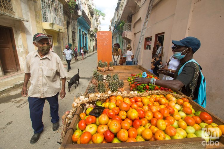 Vendedor ambulante de productos agrícolas en La Habana, durante las jornadas navideñas. Foto: Otmaro Rodríguez.