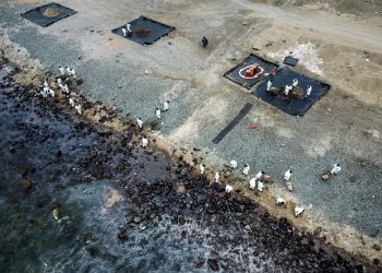 Aérea donde se concentran las labores de limpieza en las playas de Ancón (Perú). Foto: Stringer/Efe.