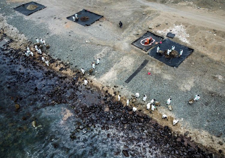 Aérea donde se concentran las labores de limpieza en las playas de Ancón (Perú). Foto: Stringer/Efe.
