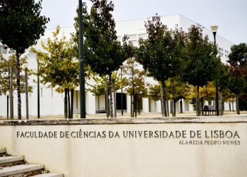 Fachada de la Facultad de Ciencias de la Universidad de Lisboa, donde ocurriría el ataque. Foto: Expresso.