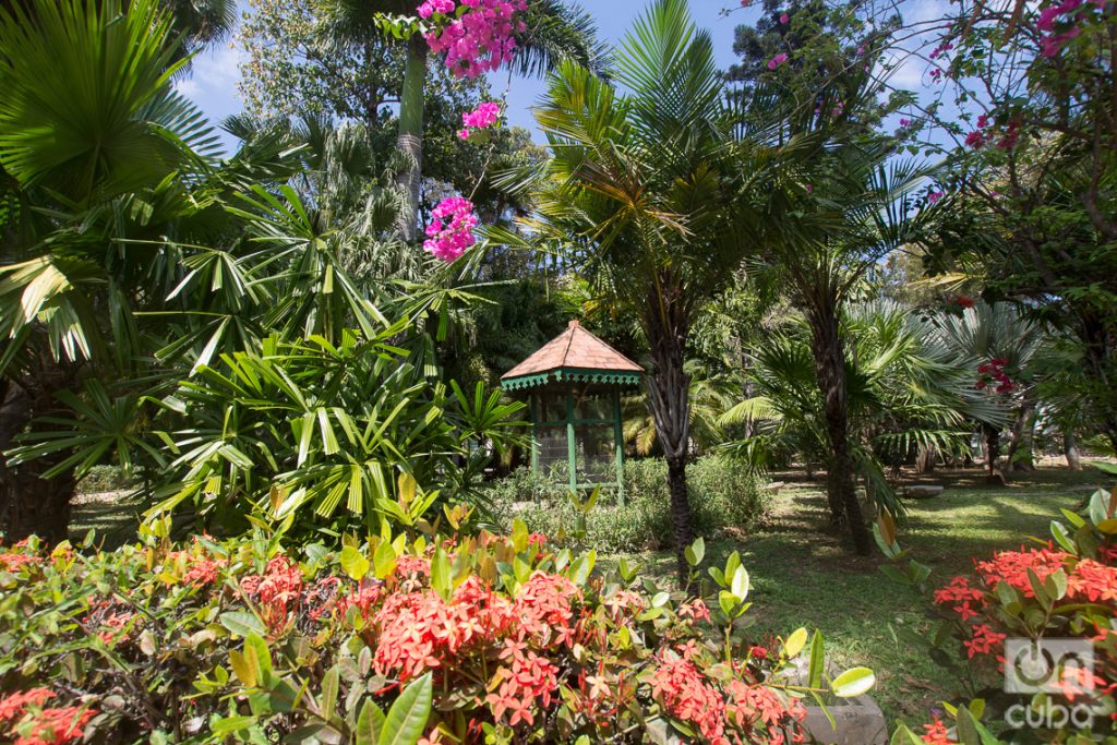 Jardín en la Quinta de los Molinos, en La Habana. Foto: Otmaro Rodríguez.