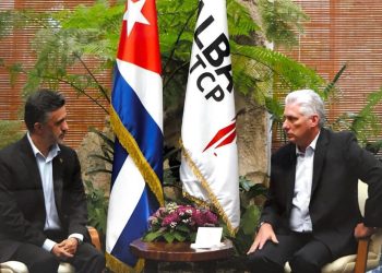 Díaz-Canel y Llorenti también conversaron sobre “las acciones trazadas para el periodo” por la Alianza y otros temas de la agenda internacional. Foto: twitter.com/SachaLlorenti