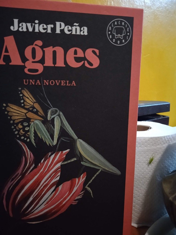 "Unhappy" and "Agnes", two novels to meet Javier Peña