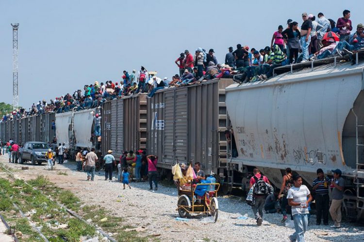 "La Bestia", el tren de los inmigrantes. Foto: International Organization for Migration.