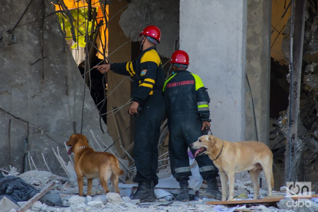 Rescatistas junto a sus perros durante las labores de rescate y salvamento en el hotel Saratoga, en La Habana. Foto: Otmaro Rodríguez.