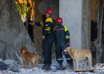 Rescatistas junto a sus perros durante las labores de rescate y salvamento en el hotel Saratoga, en La Habana. Foto: Otmaro Rodríguez.