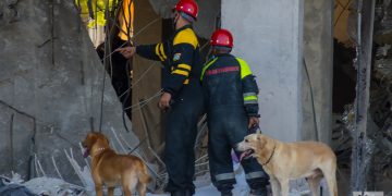 Rescatistas junto a sus perros durante las labores de rescate y salvamento en el hotel Saratoga, en La Habana. Foto: Otmaro Rodríguez.