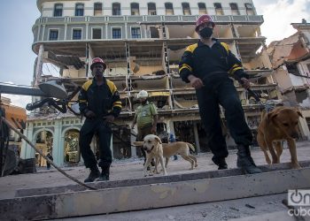 Rescatistas junto a sus perros frente al hotel Saratoga, en La Habana, durante los trabajos de búsqueda y rescate en el lugar. Foto: Otmaro Rodríguez.