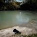 La imagen muestra un par de zapatos dejados en las orillas del Río Grande por migrantes durante su intento de cruzarlo hacia los Estados Unidos, en Piedras Negras, México, el 12 de febrero de 2019. REUTERS/Alexandre Meneghini
