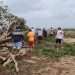 Personas y miembros de la Cruz Roja retiran árboles caídos de la carretera debido a las afectaciones por el paso del ciclón Agatha, en la comunidad de Agua blanca en el estado mexicano de Oaxaca. Foto: Daniel Ricardez / EFE.