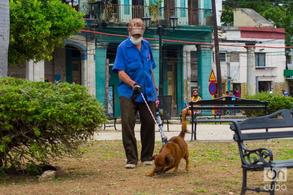 Un anciano con nasobuco pasea un perro en La Habana, el martes 31 de mayo de 2022, tras la eliminación del uso obligatorio de la mascarilla por las autoridades cubanas. Foto: Otmaro Rodríguez.