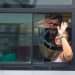 Personas sin y con nasobuco en un ómnibus en La Habana, el martes 31 de mayo de 2022, tras la eliminación del uso obligatorio de la mascarilla por las autoridades cubanas. Foto: Otmaro Rodríguez.
