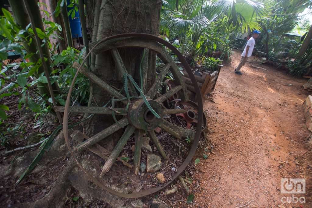 El Patio de Pelegrín, en Consolación del Sur, Pinar del Río. Foto: Otmaro Rodríguez.