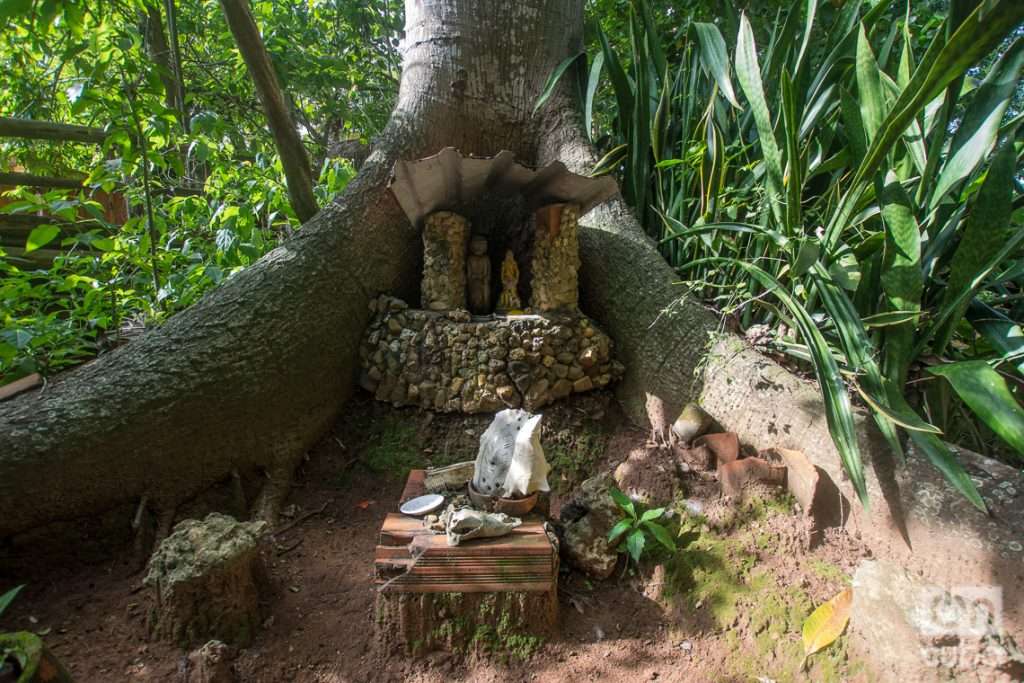 The Patio de Pelegrín, in Consolación del Sur, Pinar del Río.  Photo: Otmaro Rodríguez.