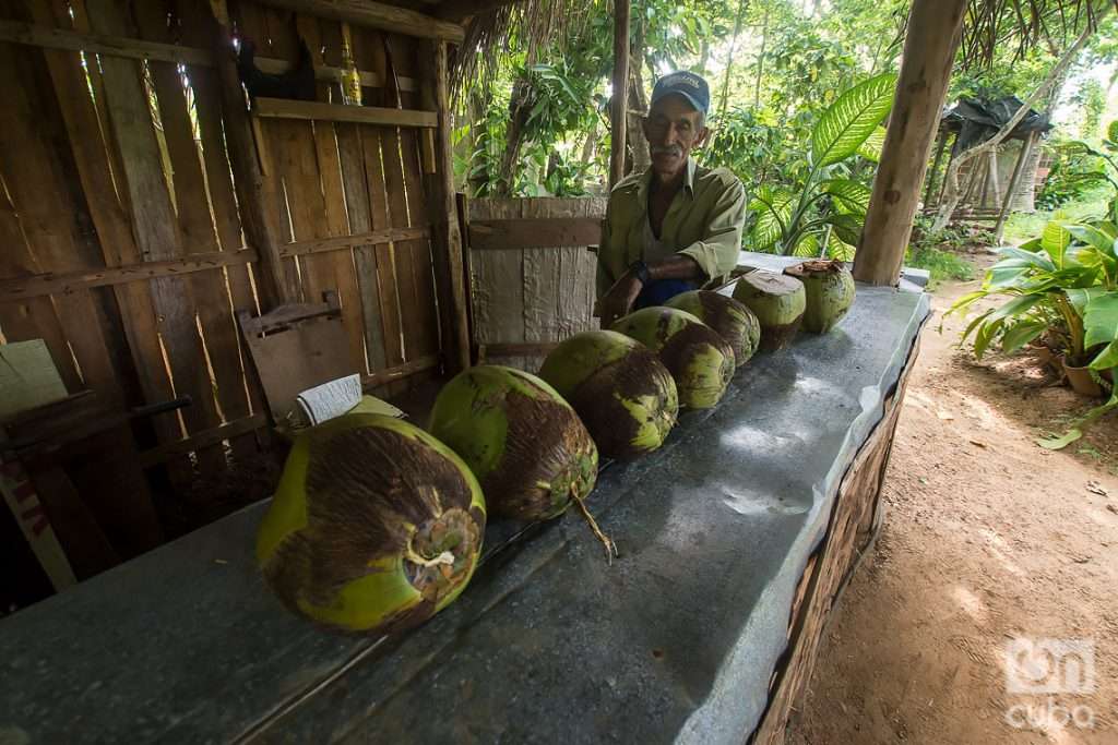 El Patio de Pelegrín, en Consolación del Sur, Pinar del Río. Foto: Otmaro Rodríguez.