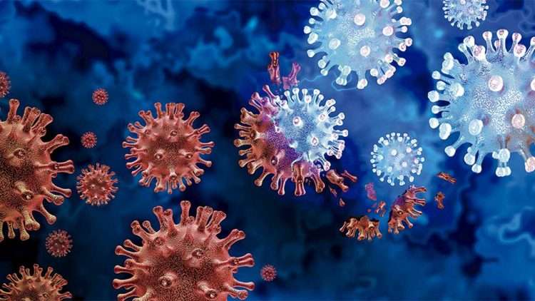 Imagen sobre el surgimiento de una nueva variante del coronavirus SARS-CoV-2. Gráfico: semana.com / Archivo.
