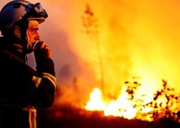 Incendios en Europa como consecuencia de las elevadas temperaturas. Foto: electoral.com