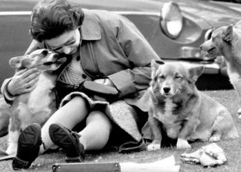 La fallecida reina en la década de 70 con sus famosos perritos Corgi. | Foto: Archivo