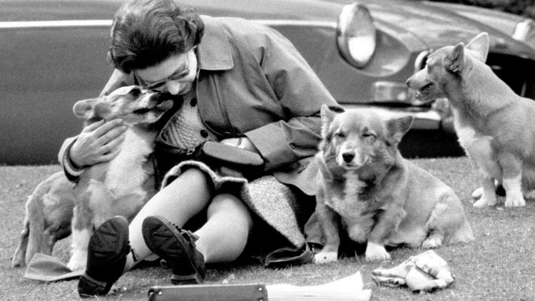 La fallecida reina en la década de 70 con sus famosos perritos Corgi. | Foto: Archivo