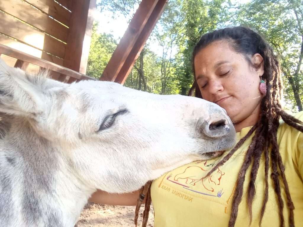 A day as a volunteer at the “Gaia” Foundation-Sanctuary