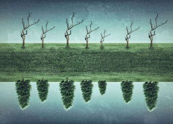 Reflejo de árboles en espejo de agua. Universo Paralelo, Cuba, 2022. De la serie La realidad de nuestra realidad. Foto Franko